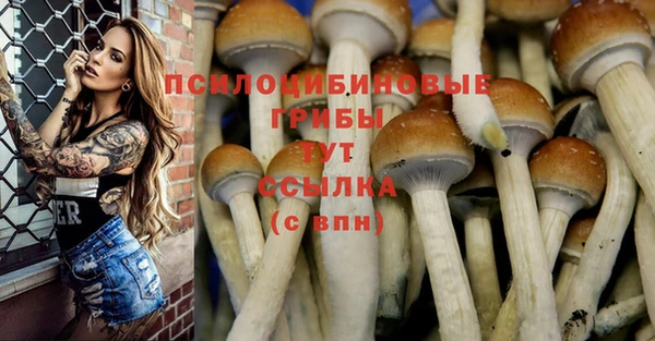 a pvp Богородск