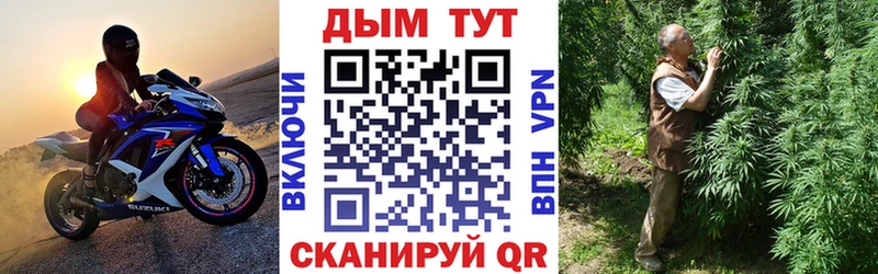 Купить где  Сосновый Бор  МАРИХУАНА ГИДРОПОН 